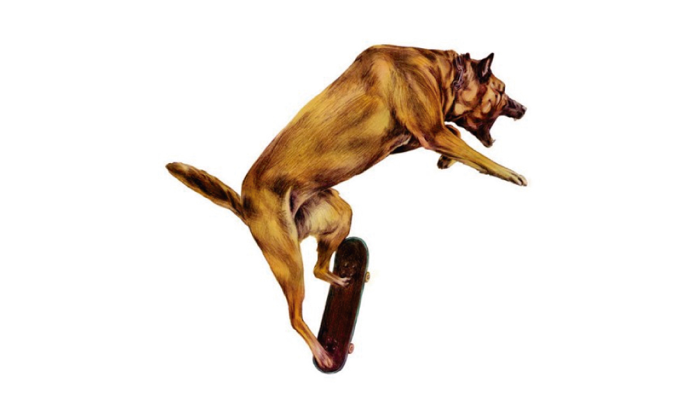 [Video] Perro es atrapado con su skate tratando de hacer un &ldquo;Ollie&rdquo;