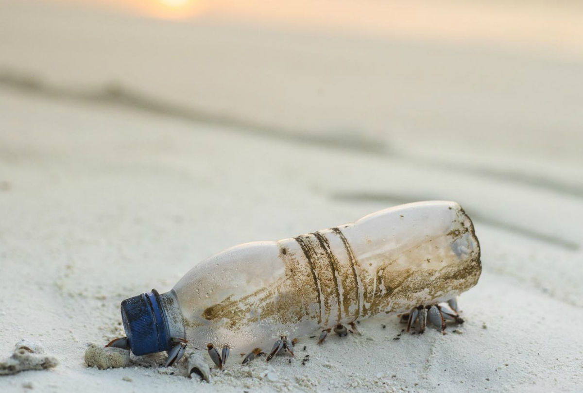 Jun&iacute;n se convierte en la primera regi&oacute;n que proh&iacute;be el uso de envases de pl&aacute;stico de un solo uso