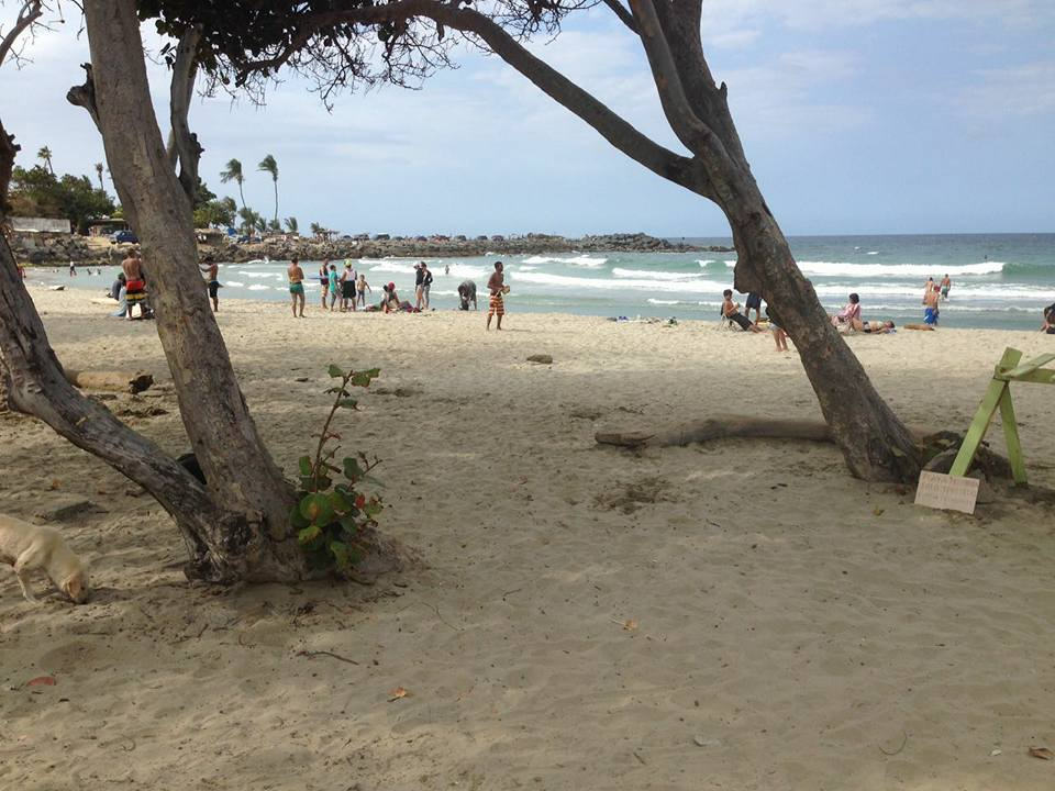 ALAS patrocina evento de surf a beneficio de la juventud venezolana