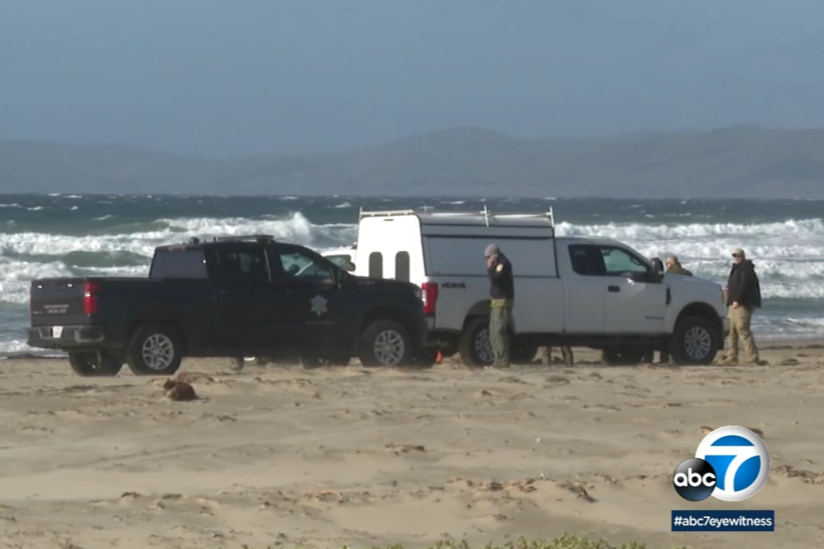 Ataque mortal de tiburón a surfista en California 