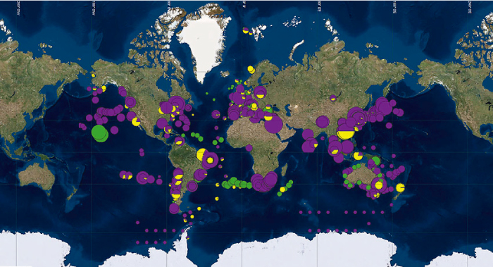 Mapa mundial de basura en los oc&eacute;anos 
