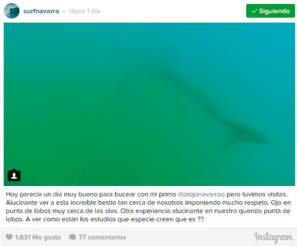 Ram&oacute;n Navarro y su encuentro con un tibur&oacute;n en Punta Lobos 
