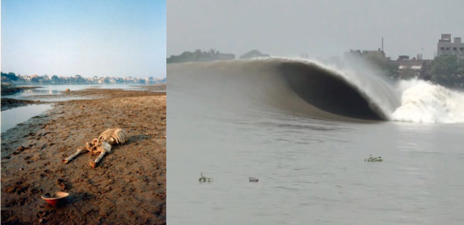 Surfeando entre muertos
