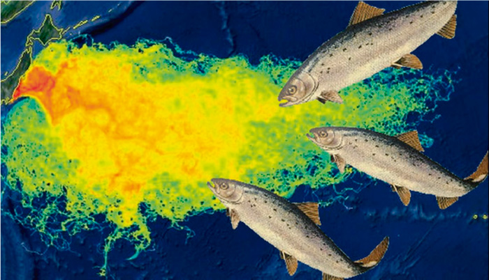 Radiaci&oacute;n de Fukushima sigue contaminando el Oc&eacute;ano Pac&iacute;fico 