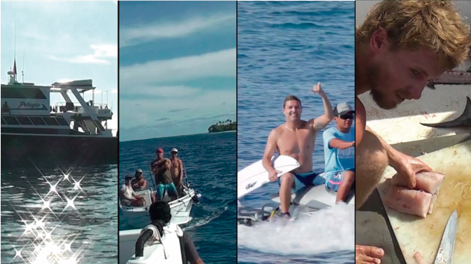Troy Dowker, Mentawais Surf Trip