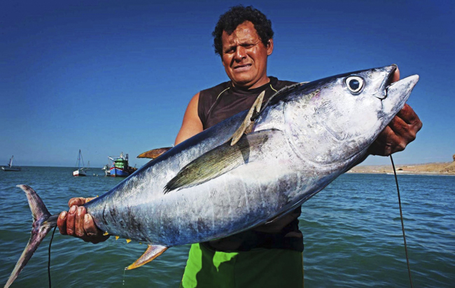 Creaci&oacute;n del Mar Pac&iacute;fico Tropical no frenar&aacute; con la pesca ilegal