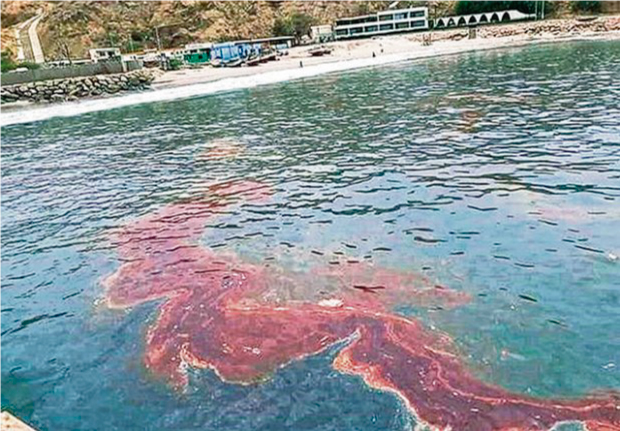 Cabo Blanco sufre contaminaci&oacute;n por derrame de petr&oacute;leo 
