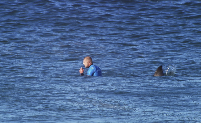 Esta es la boya anti tiburones que se usar&aacute; en la sexta fecha del Tour en Jeffreys Bay