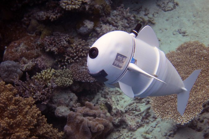El fant&aacute;stico pez robot que busca revelar los misterios de los oc&eacute;anos