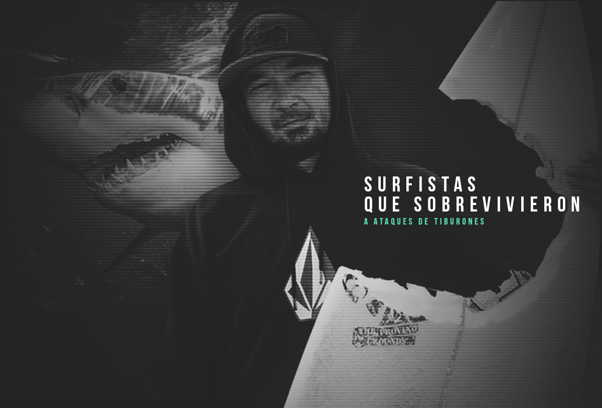 Surfistas que sobrevivieron a ataques de tiburones