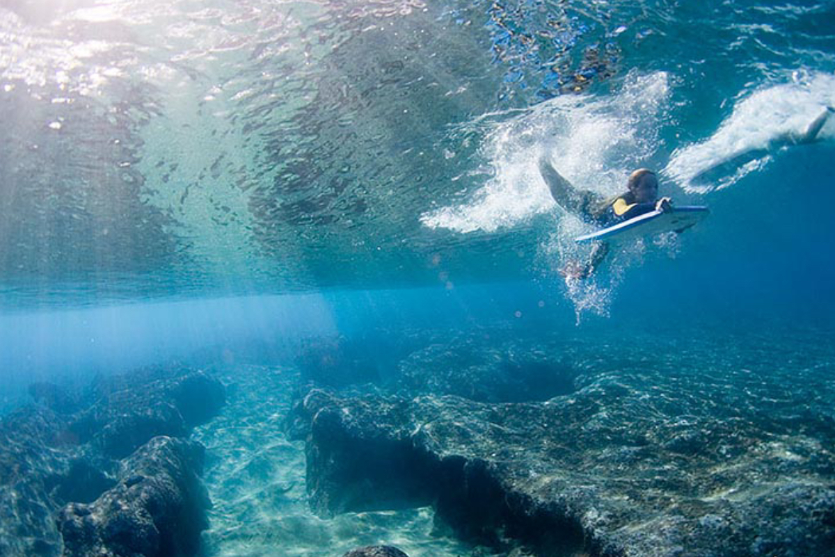 Especies marinas estar&iacute;an protegi&eacute;ndonos de los virus
