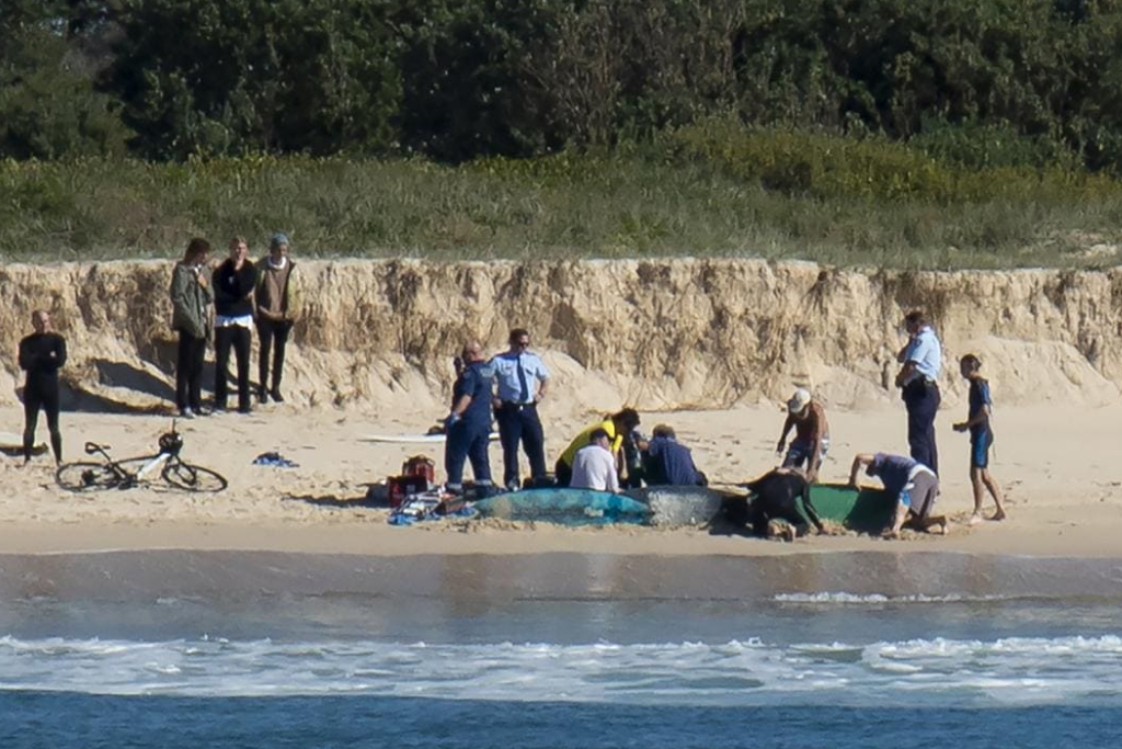 Muere surfista en Australia por ataque de tibur&oacute;n