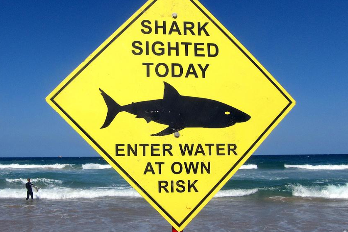 Surfer ser&aacute; procesado por justicia australiana tras activar boyas de alerta contra tiburones para surfear solo 