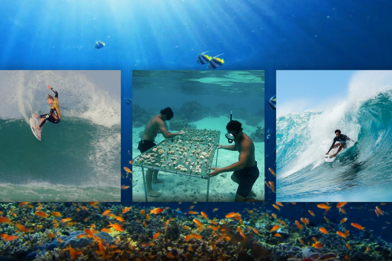 Proyecto para proteger oce&aacute;nos de la WSL es enviada a las Naciones Unidas