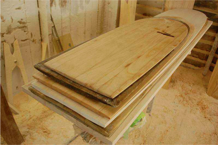 &ldquo;Ecoboard Project&rdquo;, el proyecto que ayuda a elegir tablas que reducen el impacto ambiental 
