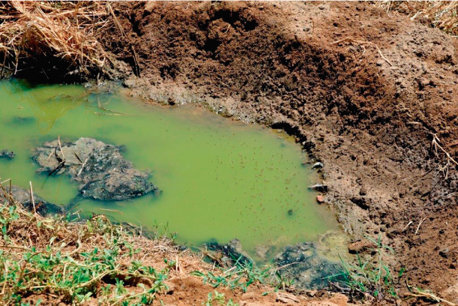 Denuncian contaminaci&oacute;n en playa Bujama
