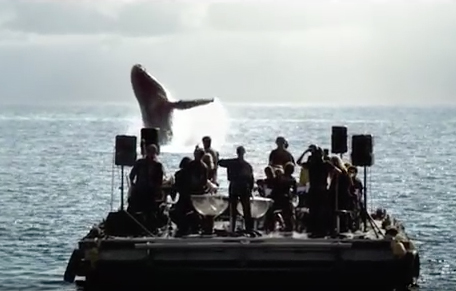 Para los amantes de las ballenas, &eacute;ste video te dejar&aacute; sin palabras