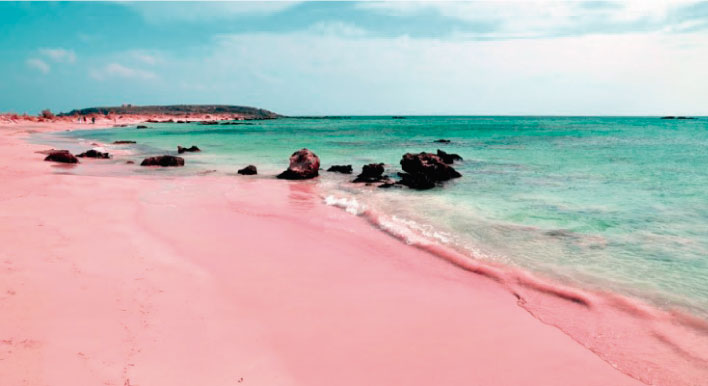 La hermosa playa rosada de las Bahamas