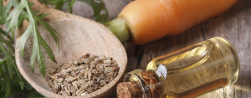 Protectores solares org&aacute;nicos la soluci&oacute;n natural para los rayos UV 